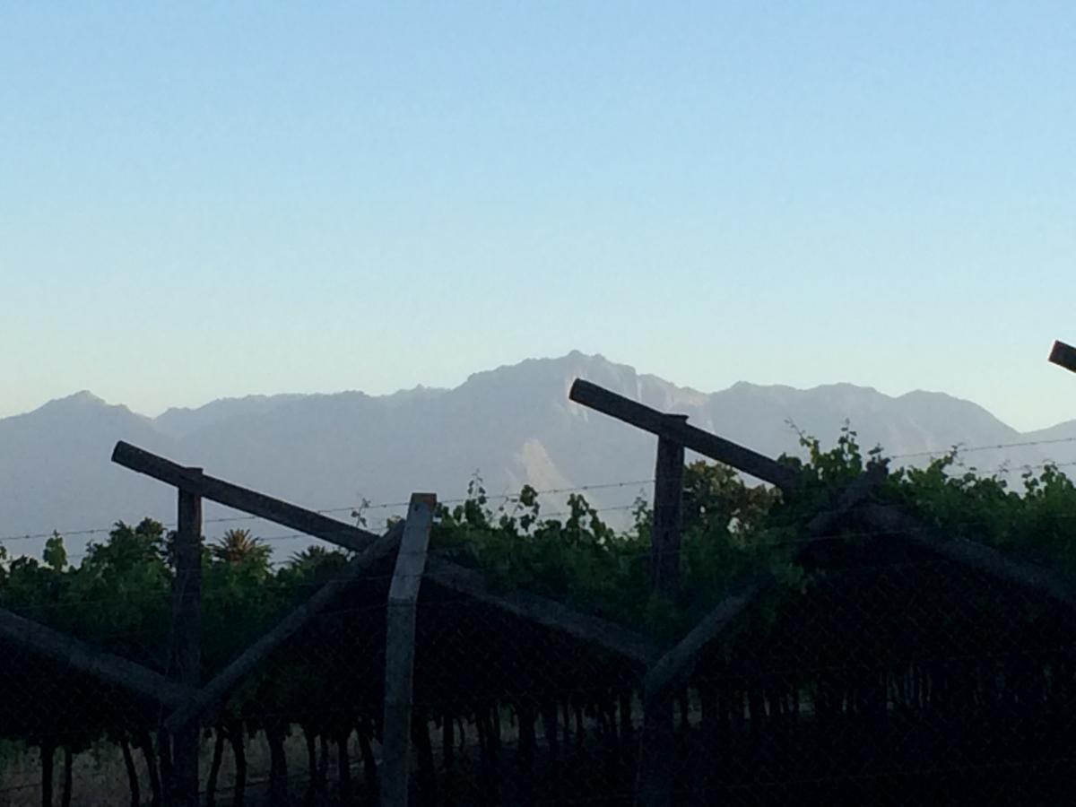 Paarl Mountain Lodge Ngoại thất bức ảnh
