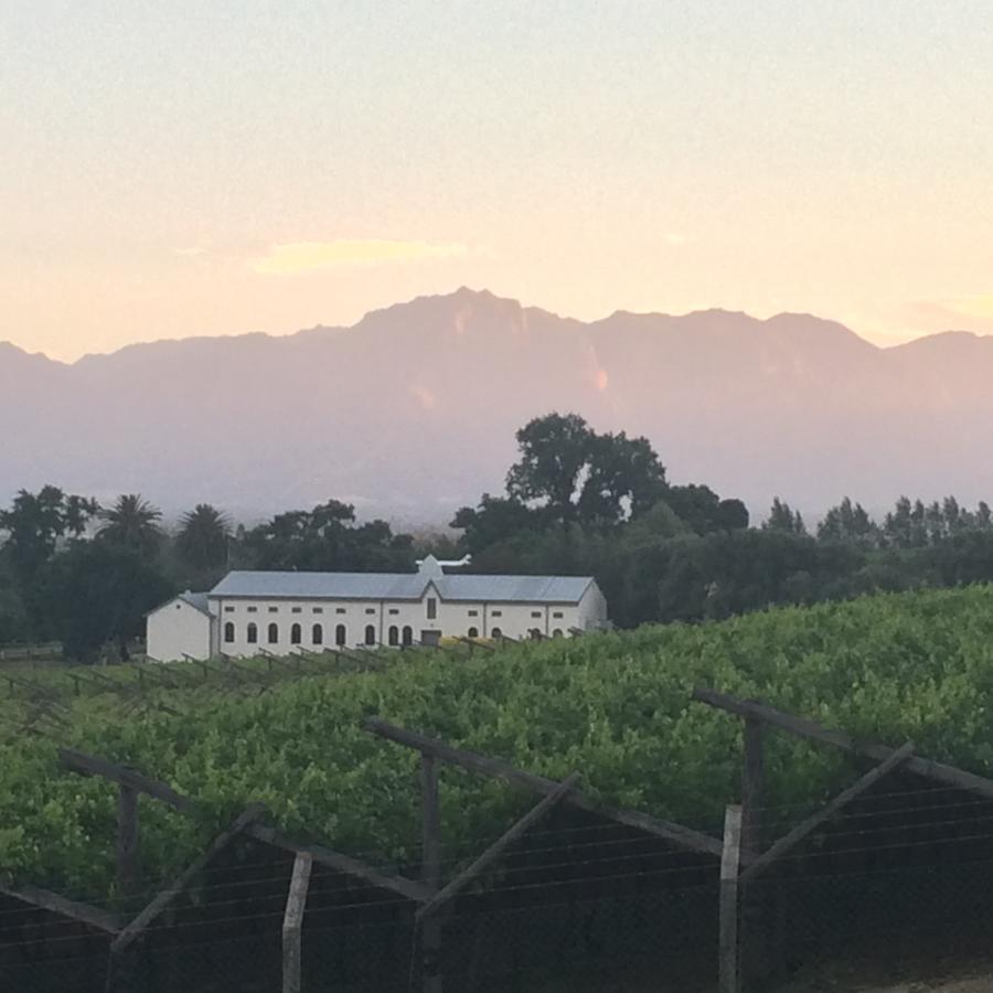 Paarl Mountain Lodge Ngoại thất bức ảnh